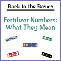 Blog Post Image: Back to the Basics, Fertilizer Numbers and What They Mean