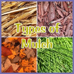 Grid image of straw, bark, leaves, and pine needles with the text Types of Mulch