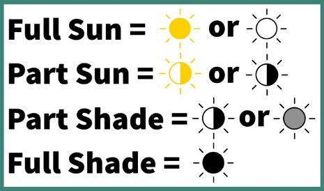 Chart outlining the different icons used to communicate sun requirements on live plant tags