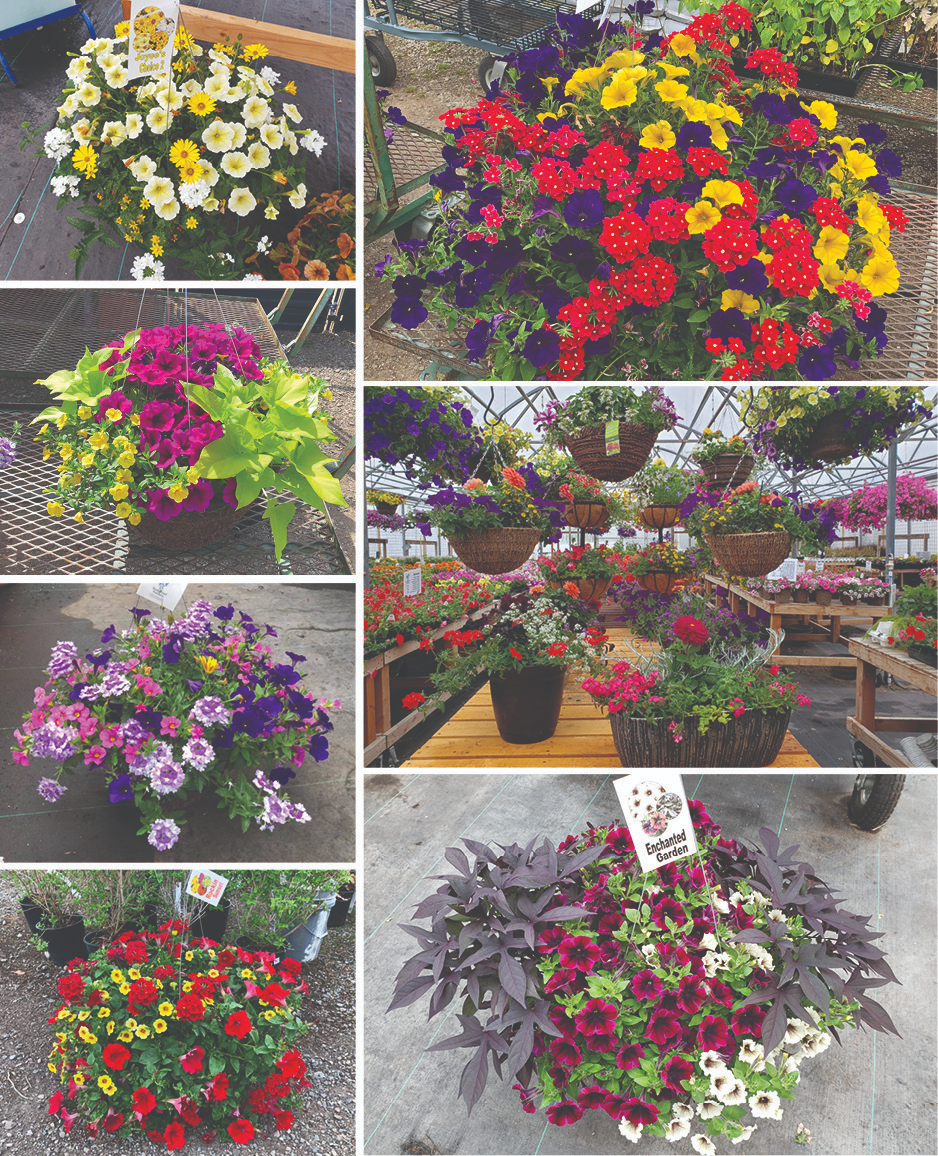 SG Signature Basket Collage SG Signature Basket Collage